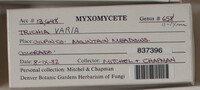 Image Associated With the Occurence
